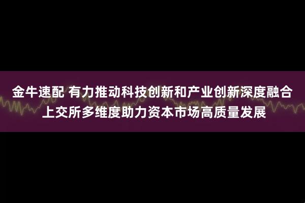金牛速配 有力推动科技创新和产业创新深度融合 上交所多维度助力资本市场高质量发展