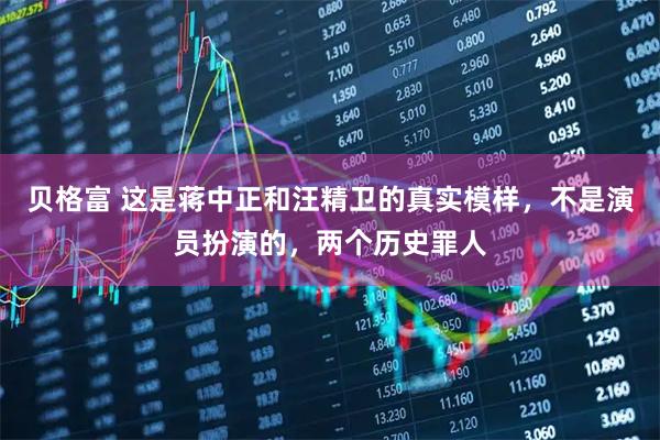 贝格富 这是蒋中正和汪精卫的真实模样，不是演员扮演的，两个历史罪人