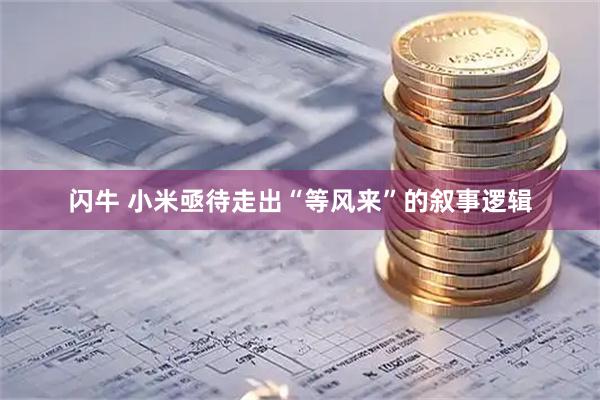 闪牛 小米亟待走出“等风来”的叙事逻辑
